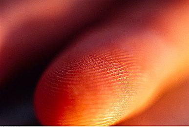 战地2042B测参与保姆级教程 2042测试下载方法